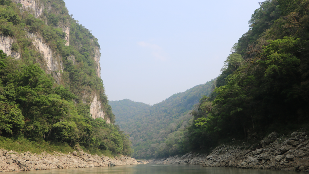 Reserva de la Biosfera Pantanos de Centla